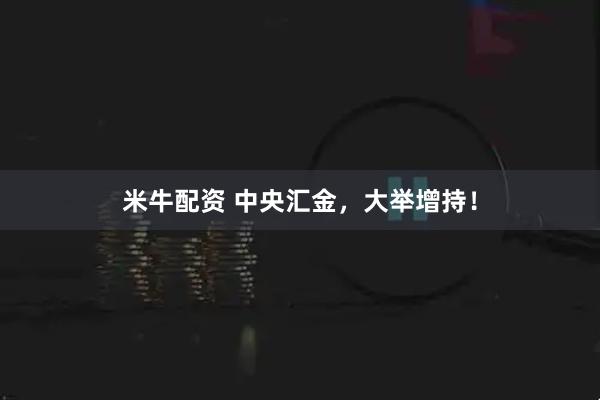 米牛配资 中央汇金，大举增持！