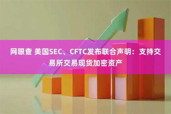 网眼查 美国SEC、CFTC发布联合声明：支持交易所交易现货加密资产