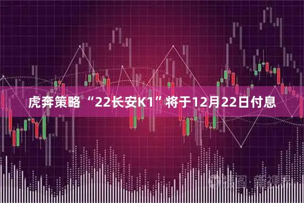 虎奔策略 “22长安K1”将于12月22日付息